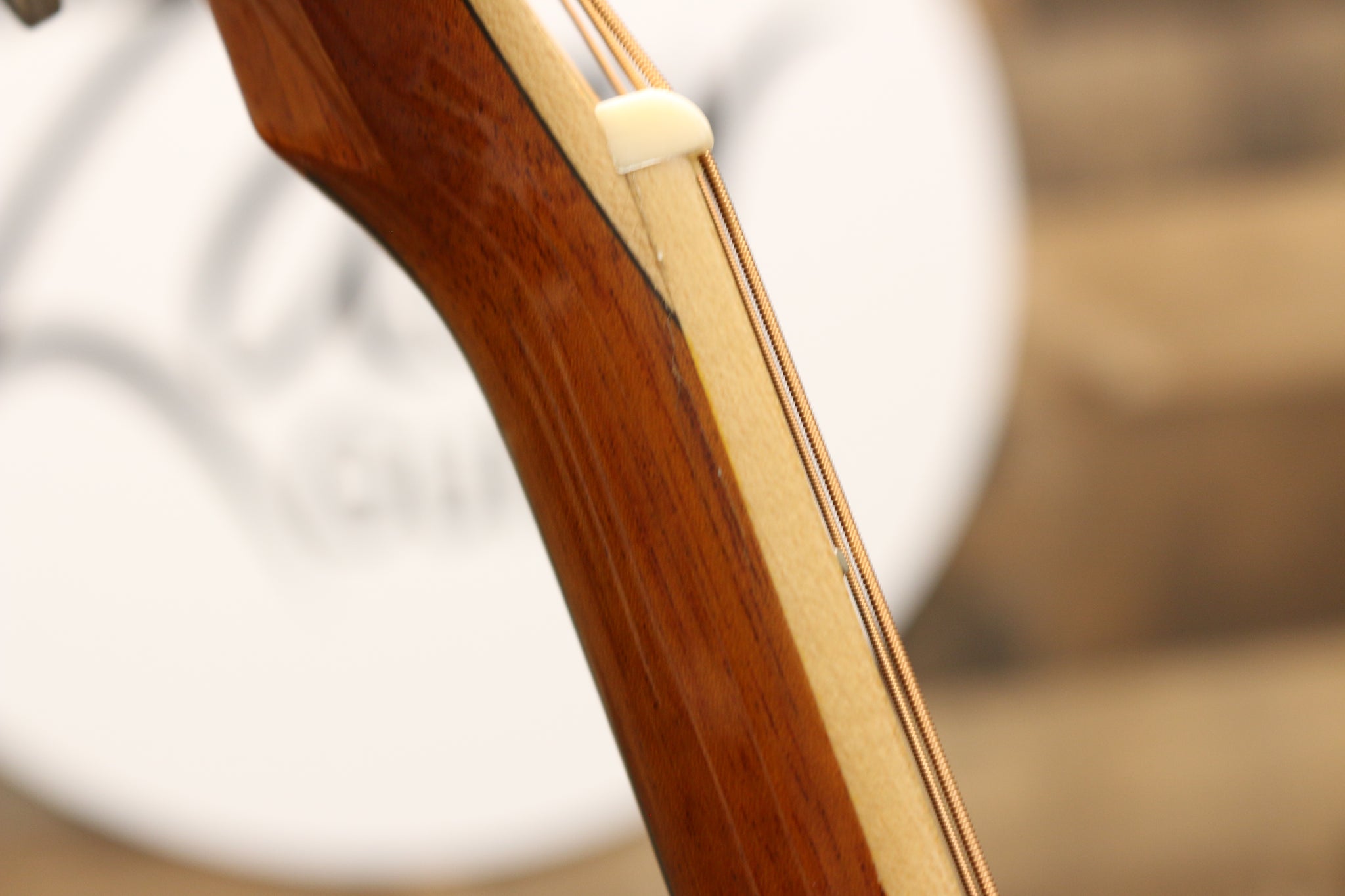 Zaar with Scars - Z540E (#046)