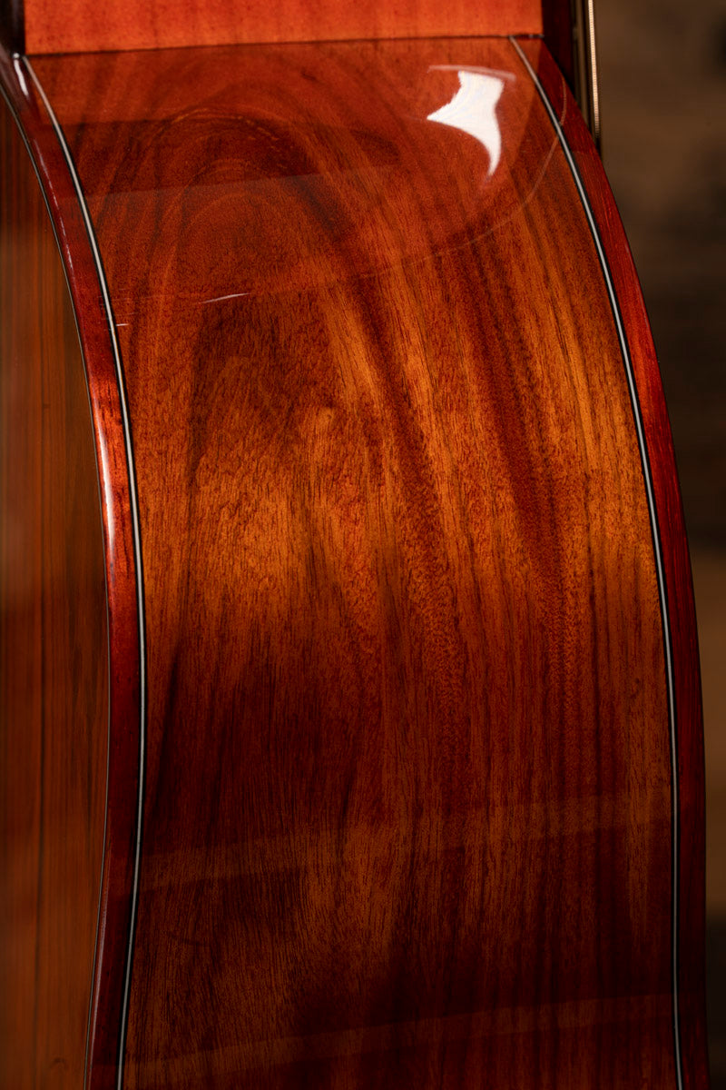 Z420 - Santos Rosewood Acoustic - Elite Series