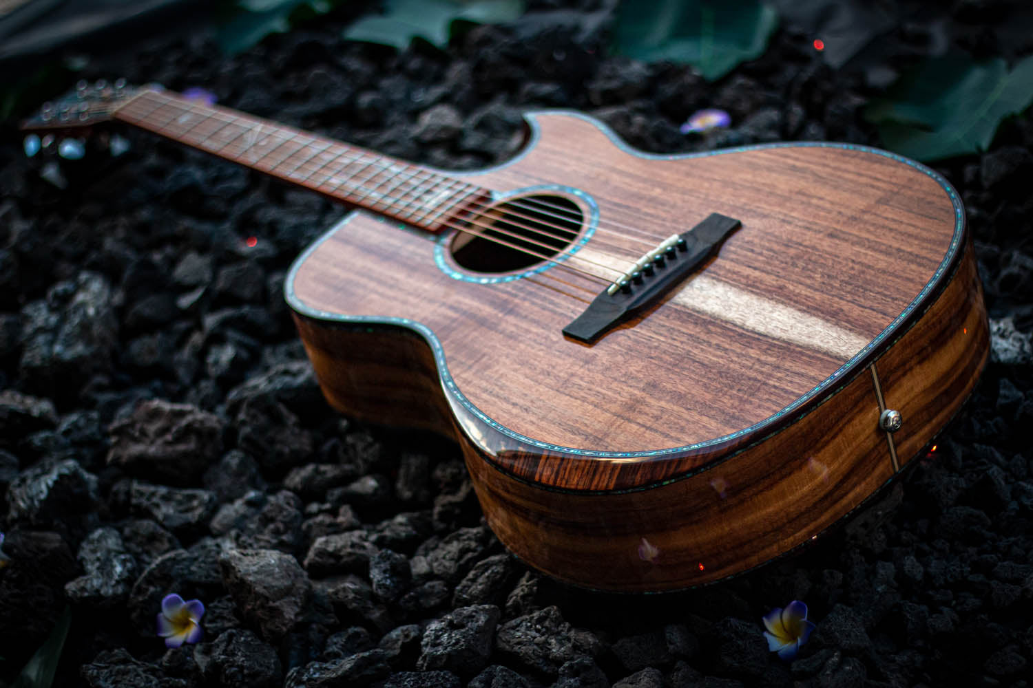 Z690 - Koa Acoustic - Elite Series