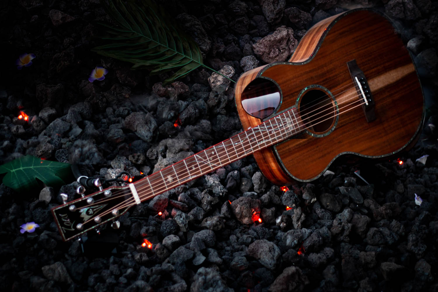 Z690 - Koa Acoustic - Elite Series